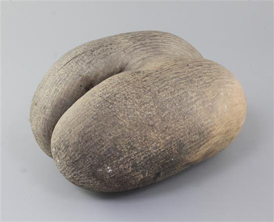 A coco-de-mer nut, 12in.